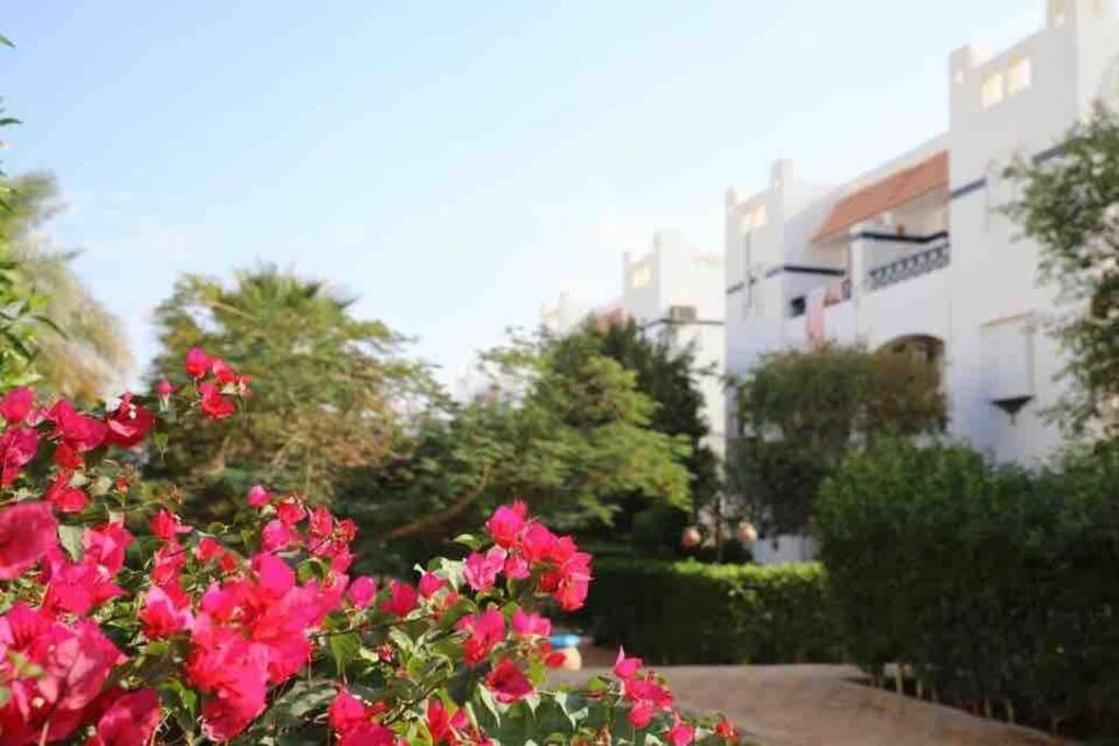 Riviera Resort Apartment - Pool View & Wifi Sharm el-Sheikh Exterior photo